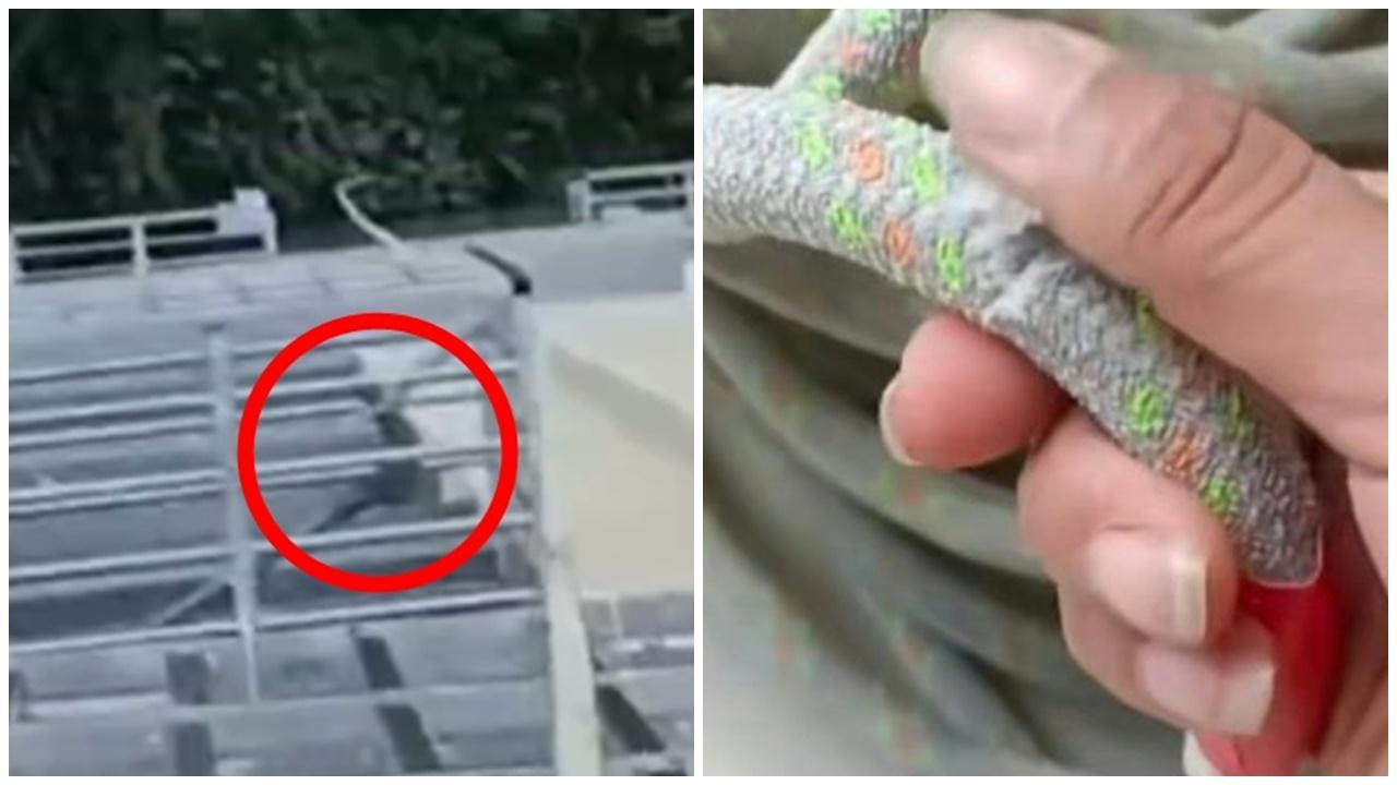 安徽女12樓外牆施工，遭阿婆鐮刀狠割安全繩。(微博)