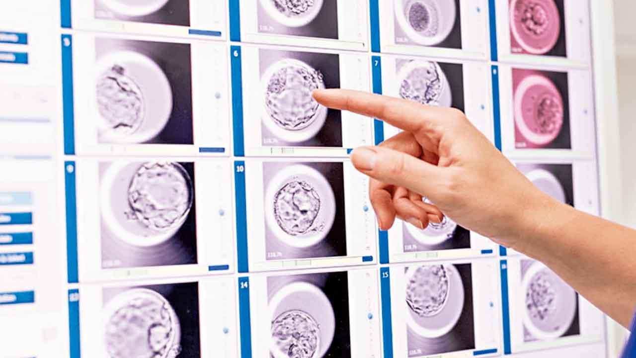 中大研究 縮時成像培養箱 未增活產率