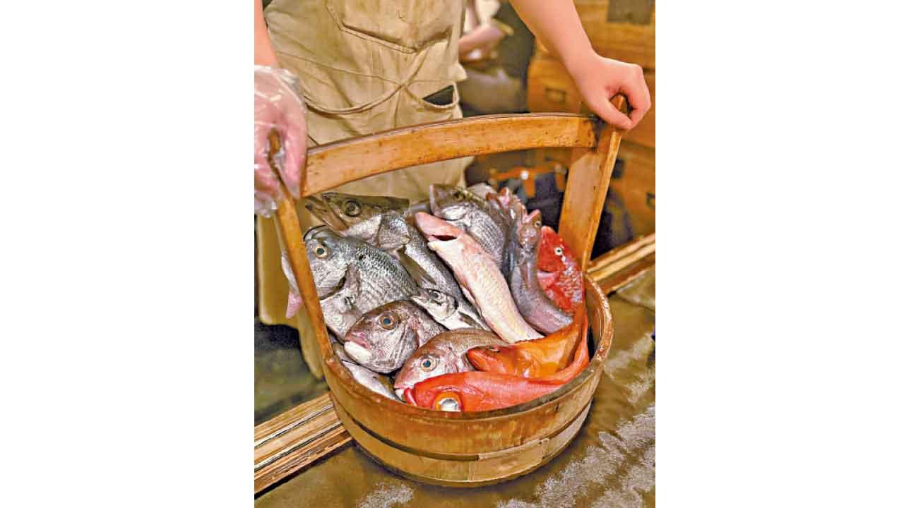 魚肉也是肉（上）