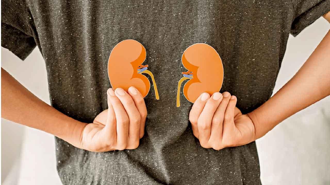 腎病無徵兆 三高要小心