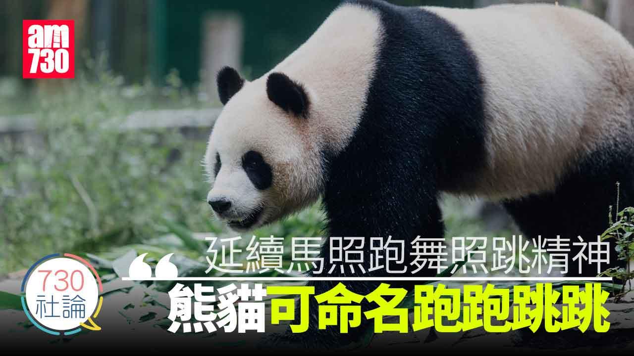 730社論｜延續馬照跑舞照跳精神 熊貓可命名跑跑跳跳