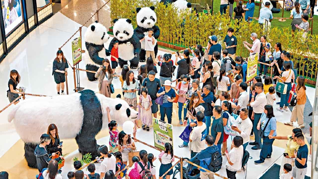 國寶急增 大熊貓經濟成谷市良機 學者指熊貓展現香港特色助添經濟內涵