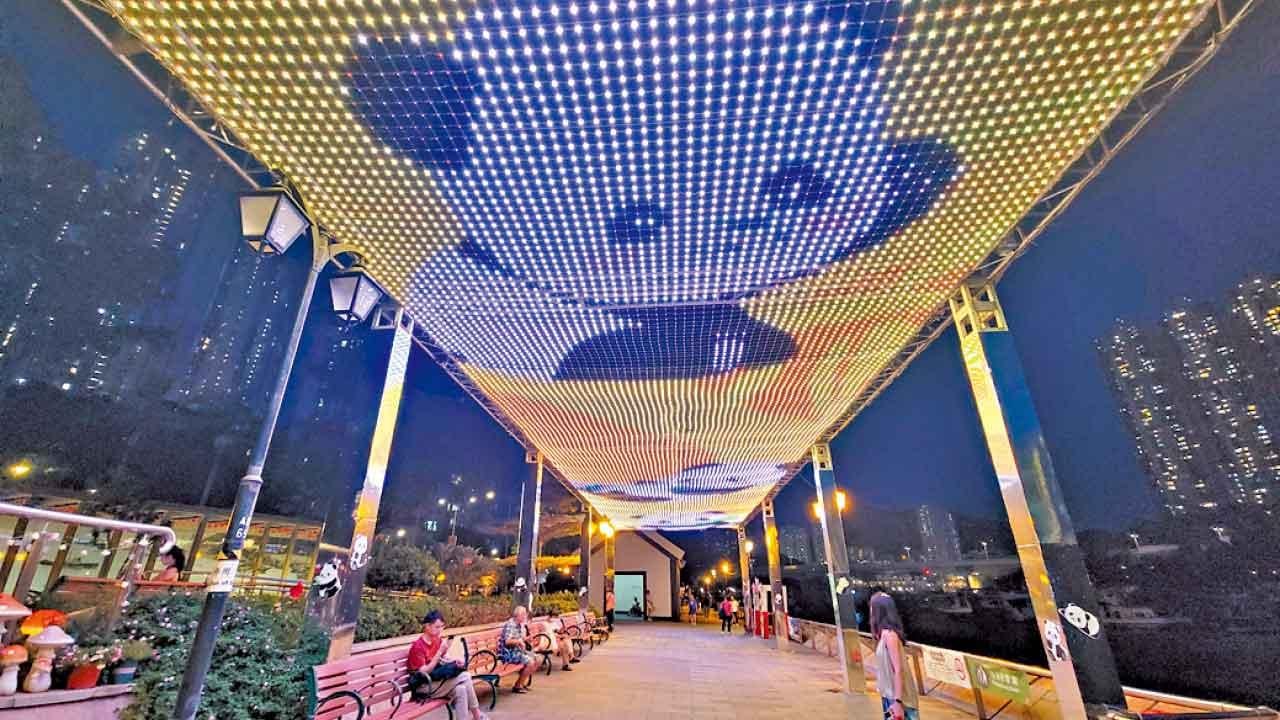 社會掀起熊貓熱 多區趁機辦活動推熊貓經濟