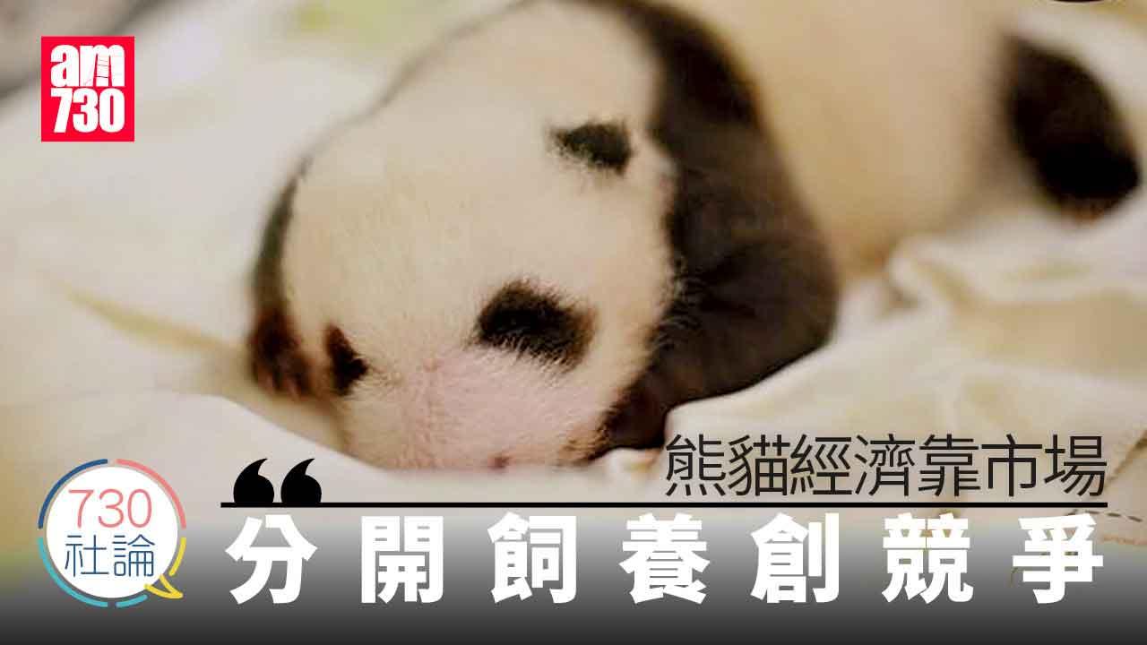 730社論｜熊貓經濟靠市場 分開飼養創競爭