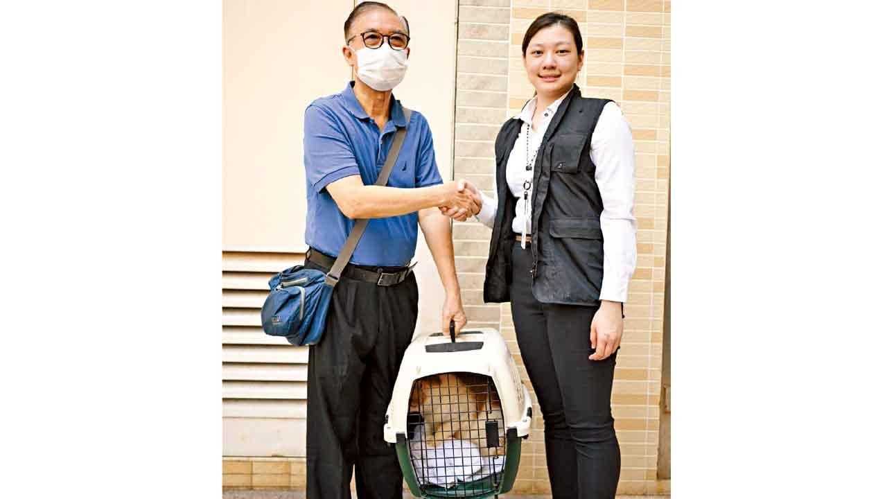 北帝廟花貓隔6日終尋回  YouTuber涉偷貓落網