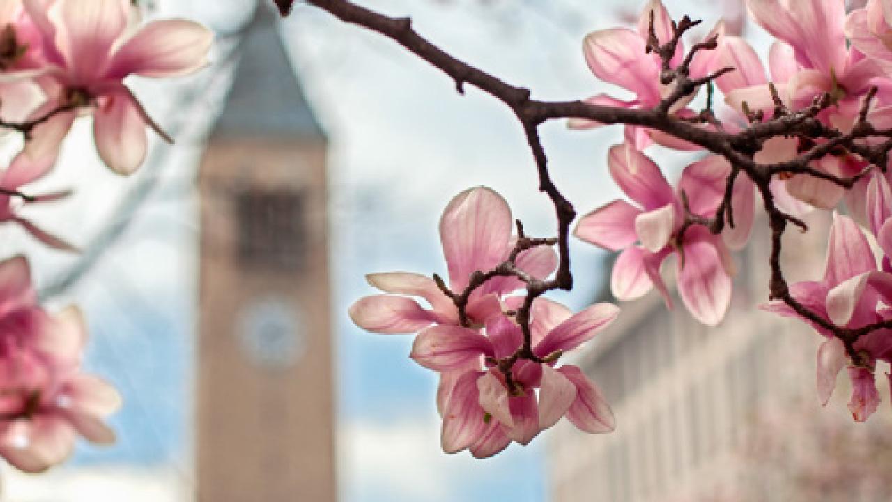 大學選生透明度的重要性