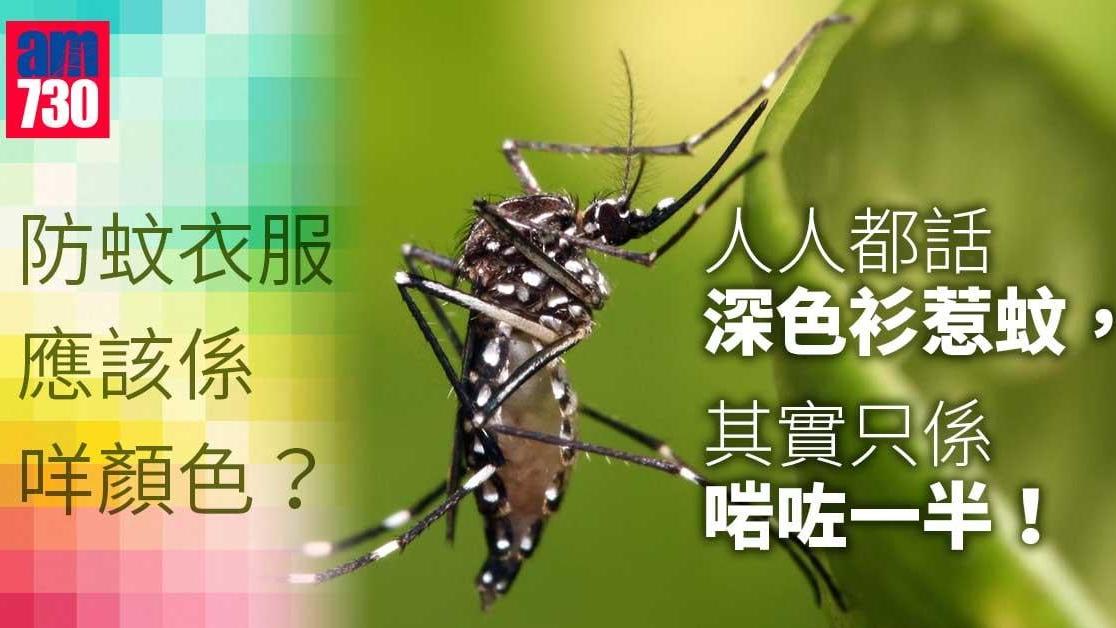 防蚊方法｜研究實證︰四種顏色衫勁惹蚊-想避蚊勿穿（am730製圖）