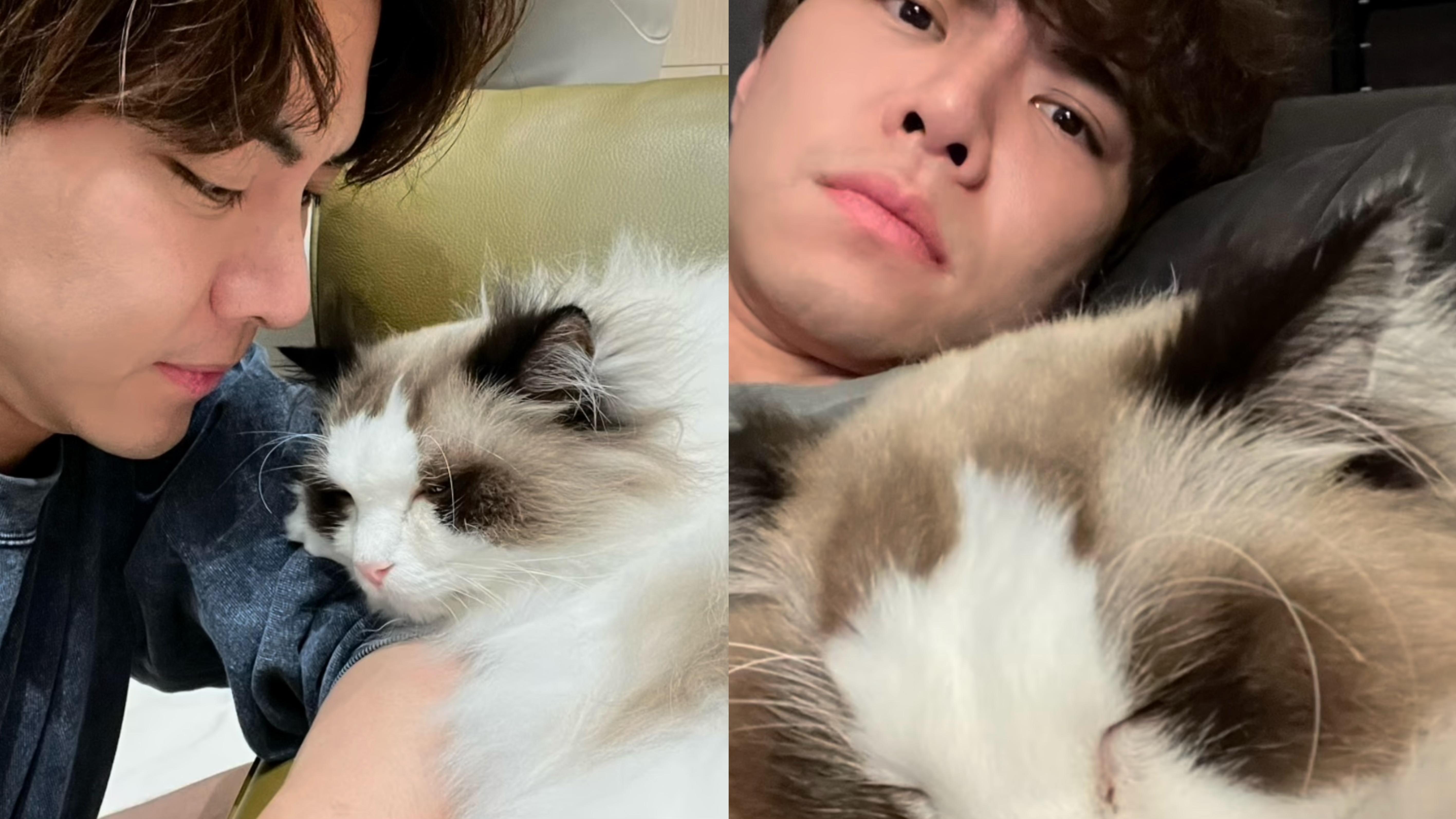 羅天宇「人道處置」愛貓 傷痛發文：我人生最難過嘅一晚