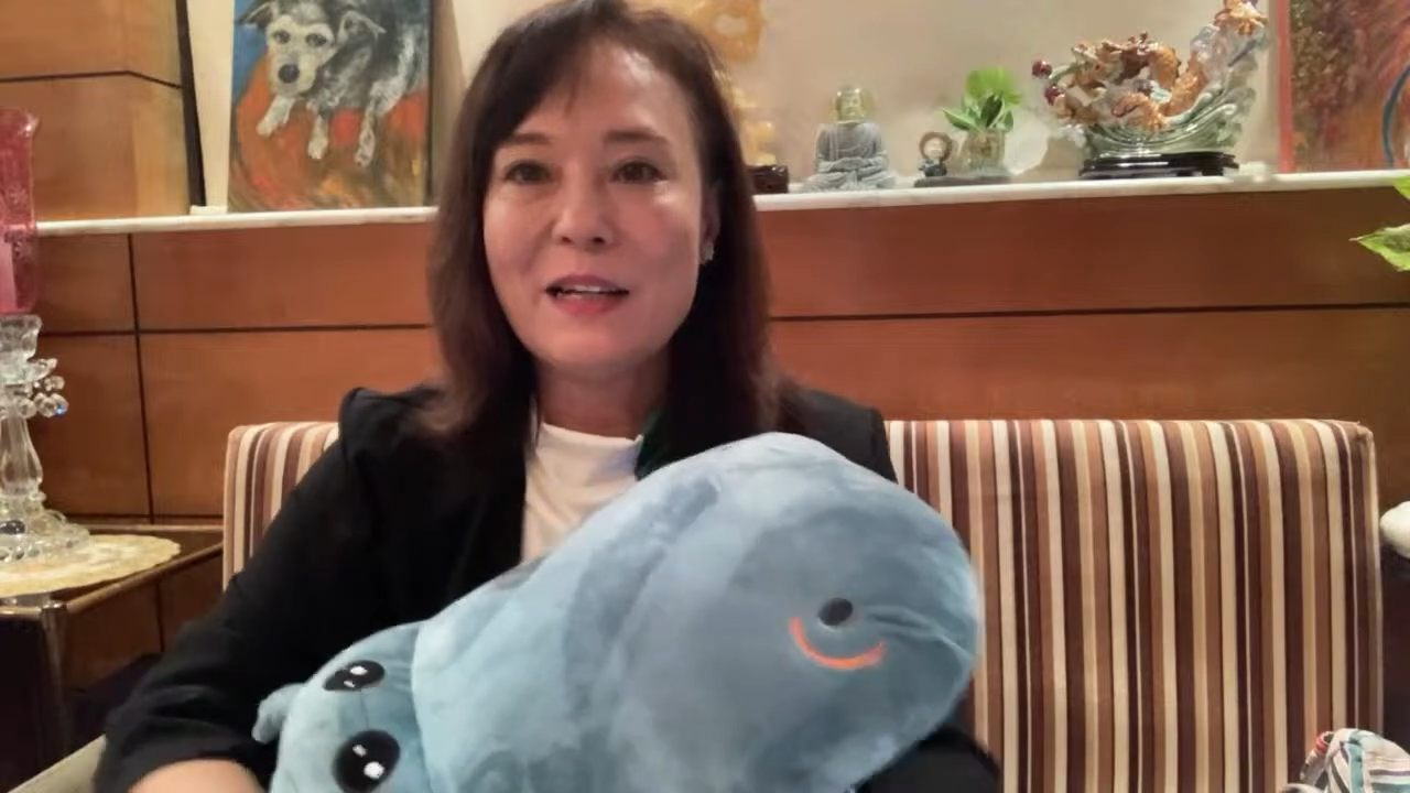 何太在大陸未離婚兼虛報年齡？翁靜晶攬住河馬公仔爆大鑊