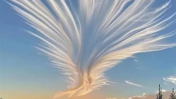 日出巧遇「鳳舞九天」！湖北省日出驚現鳳凰彩雲　氣象專家說明了