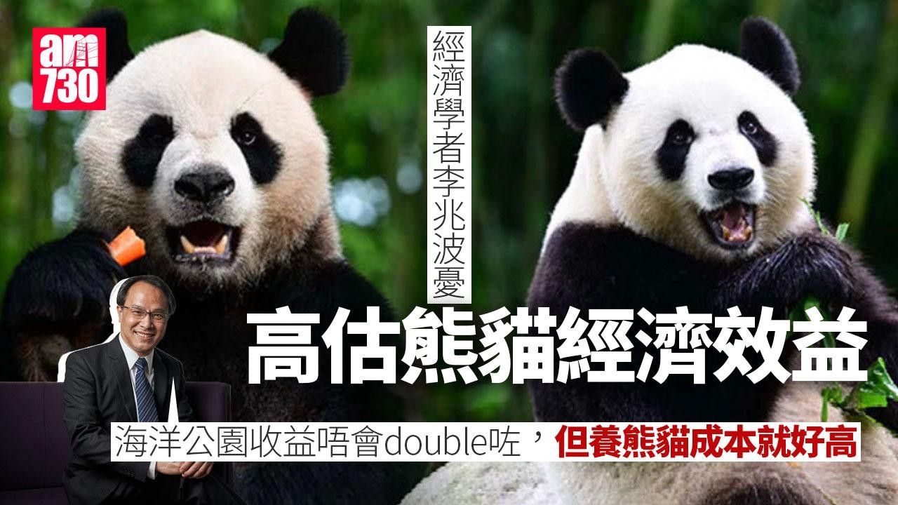 亞洲日韓星等6國設熊貓館　李兆波憂高估熊貓經濟效益