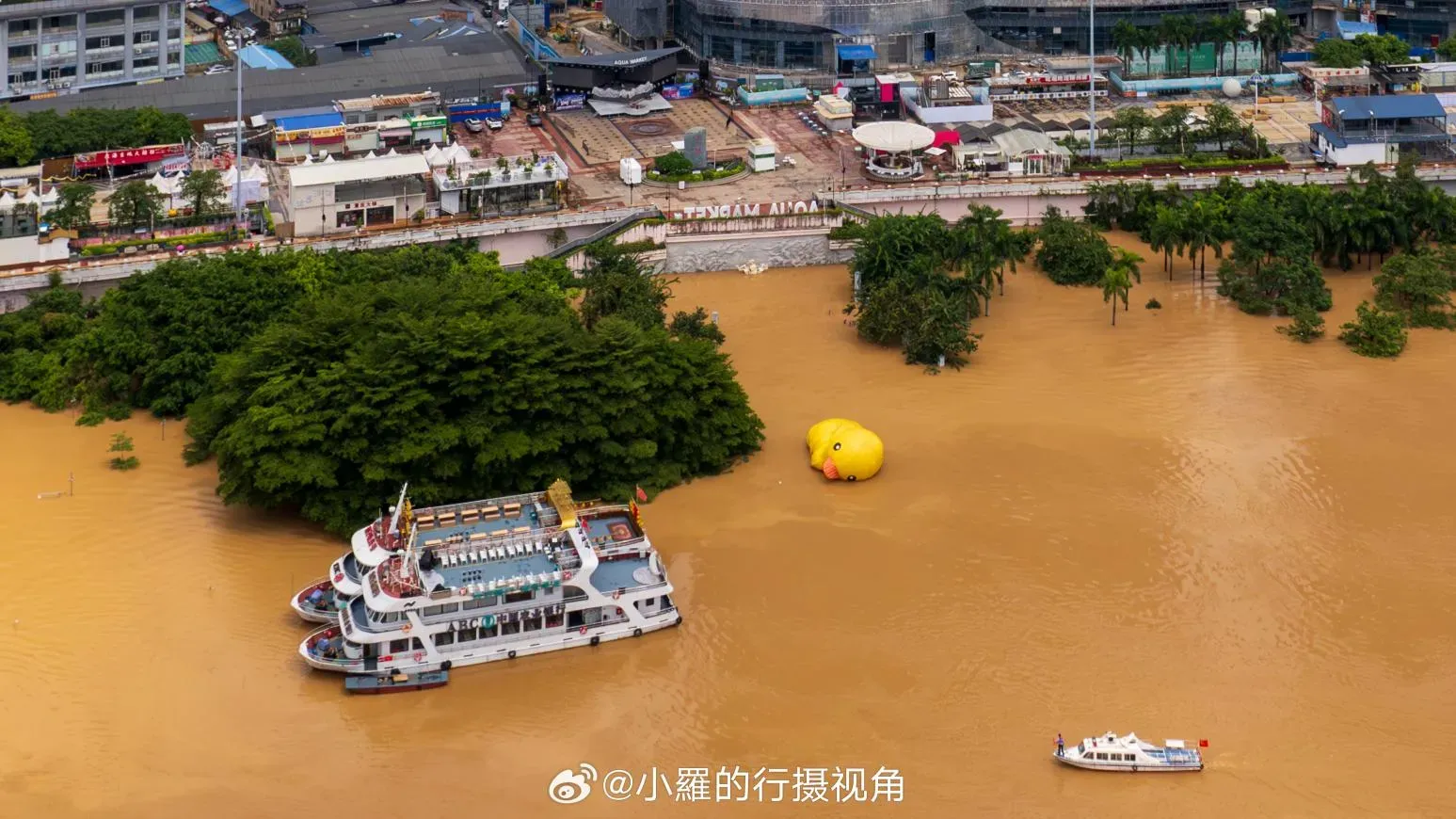 摩羯颱風｜後遺症洪水襲廣西多地　南寧網紅小黃鴨「泡湯」