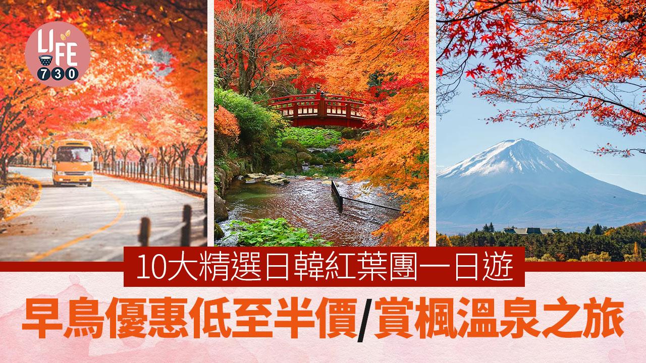 紅葉2024｜10大精選日韓紅葉團一日遊 早鳥優惠低至半價/賞楓溫泉之旅
