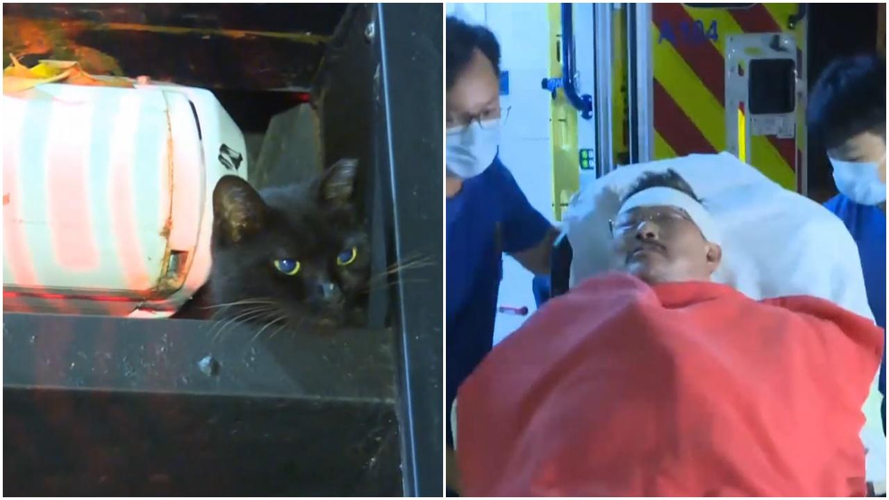 赤柱男保安救貓時失足墮地傷頭