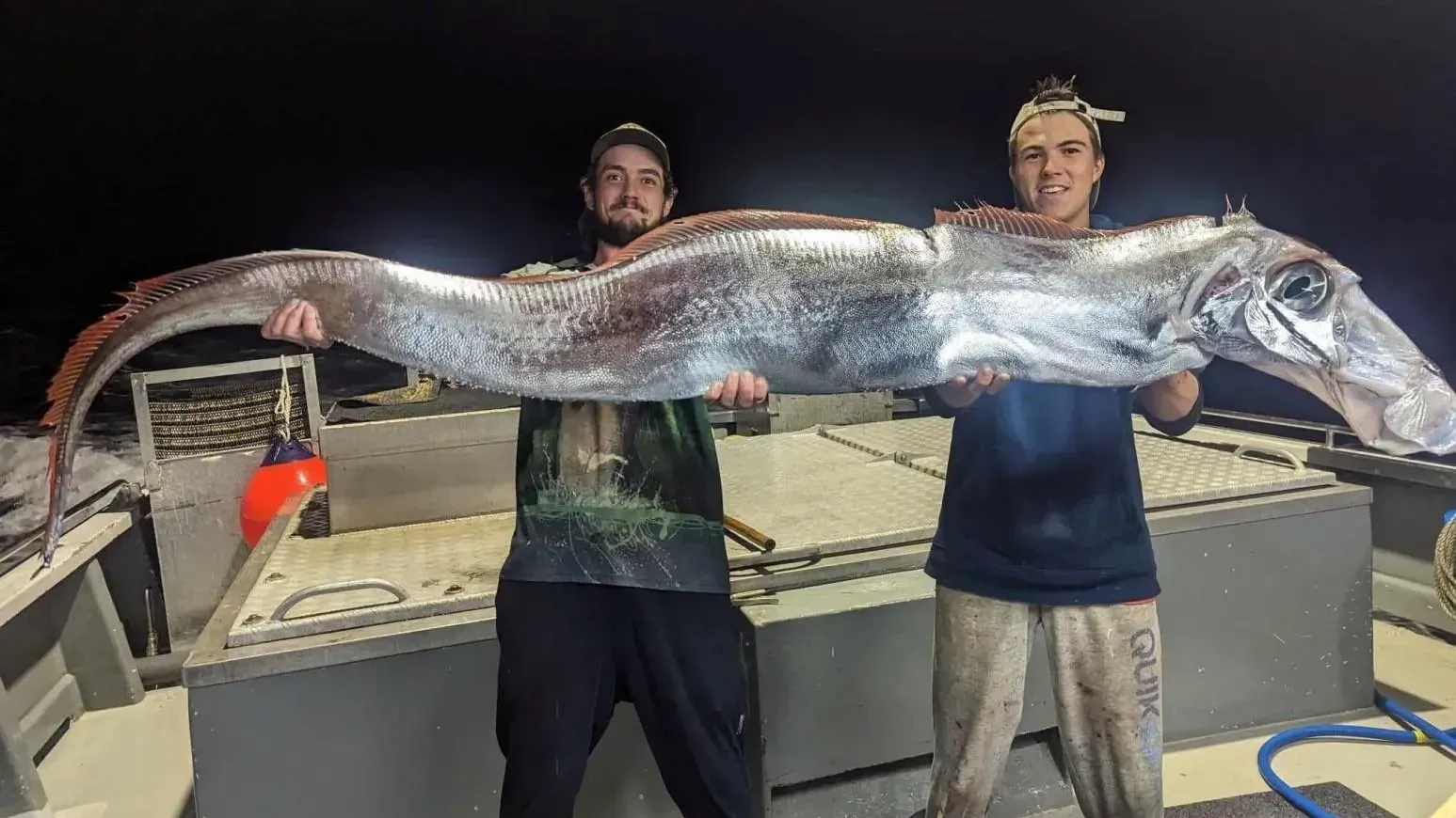 澳洲男捕獲深海皇帶魚　「末日之魚」傳預告地震海嘯