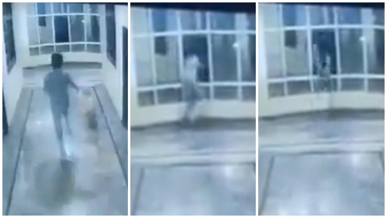 男子酒店追狗玩，轉唔切彎飛出3樓窗口墮地慘死。(X)