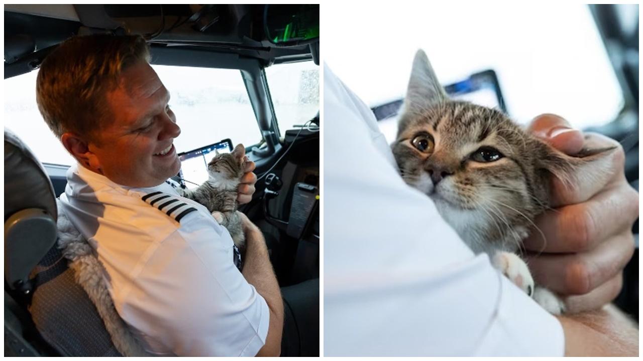 機師助收容所撤離145隻毛孩，意外被小奶貓溶化即場收編。(X)