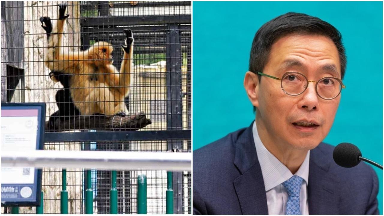 動植物公園兩日死9猴　楊潤雄傍晚見傳媒交代