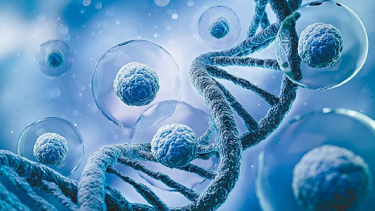 免費基因檢測 精準治療前列腺癌