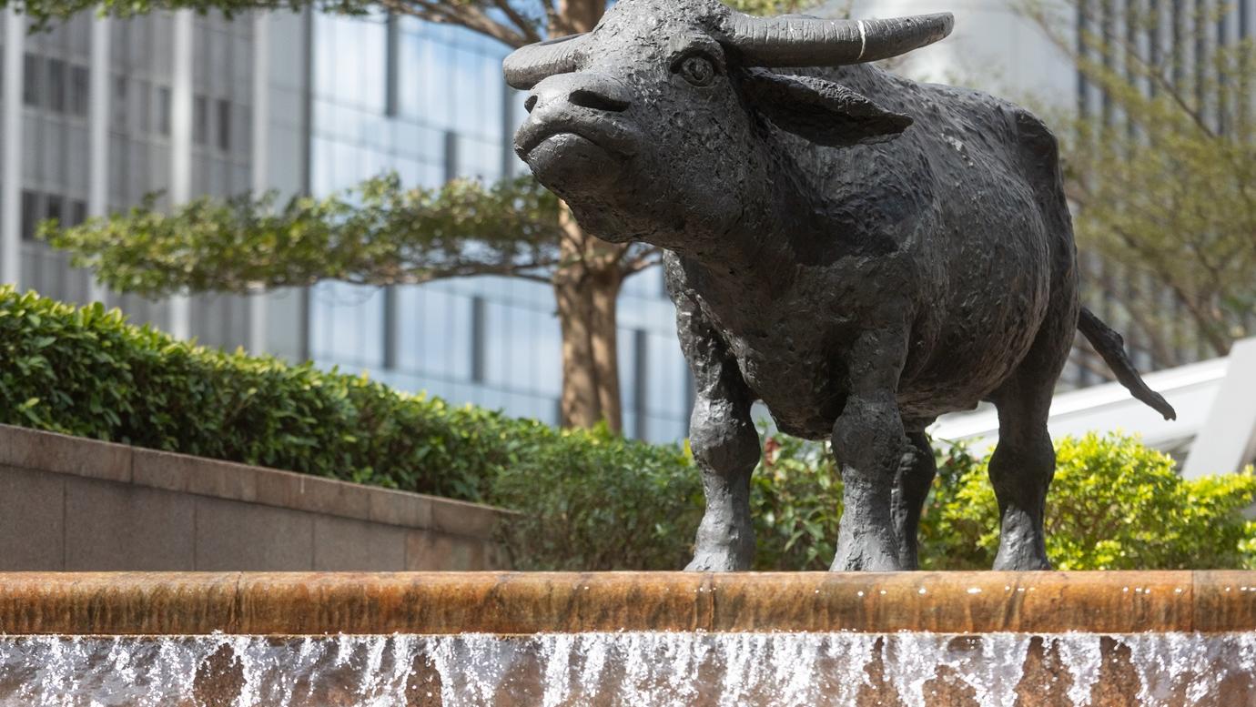 組合拳見效需時 短線炒作易損手