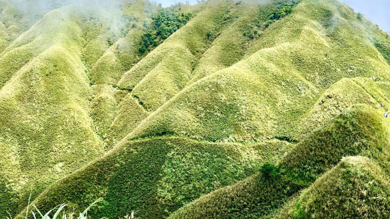 像抹茶蛋糕一樣的山
