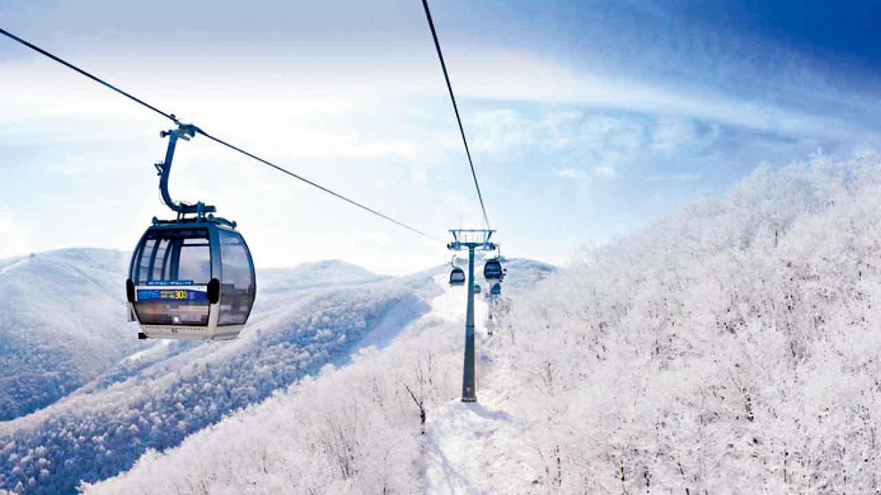 冬日多元化特色旅遊 跟團、半自由行、 坐河船感受聖誕氣氛