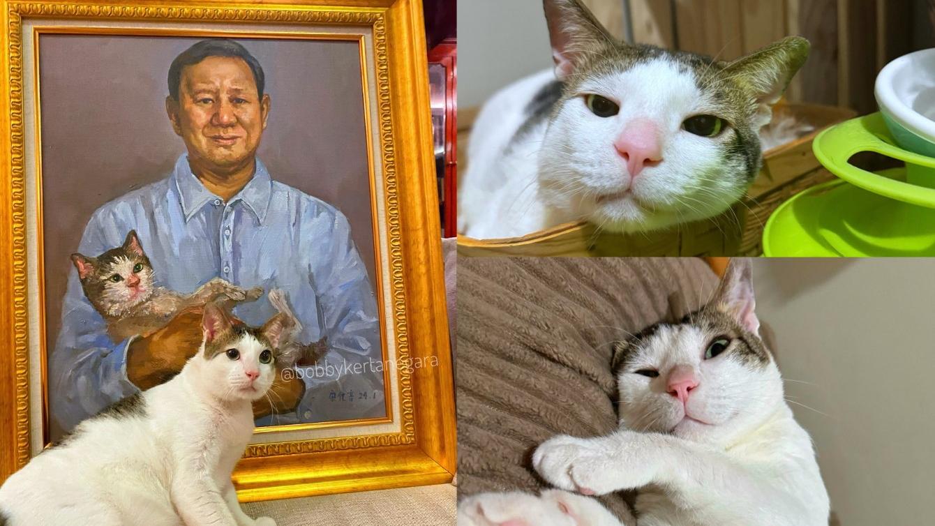 印尼總統私下竟是溫柔貓奴！為愛貓開設IG帳號極盡寵溺（有片）