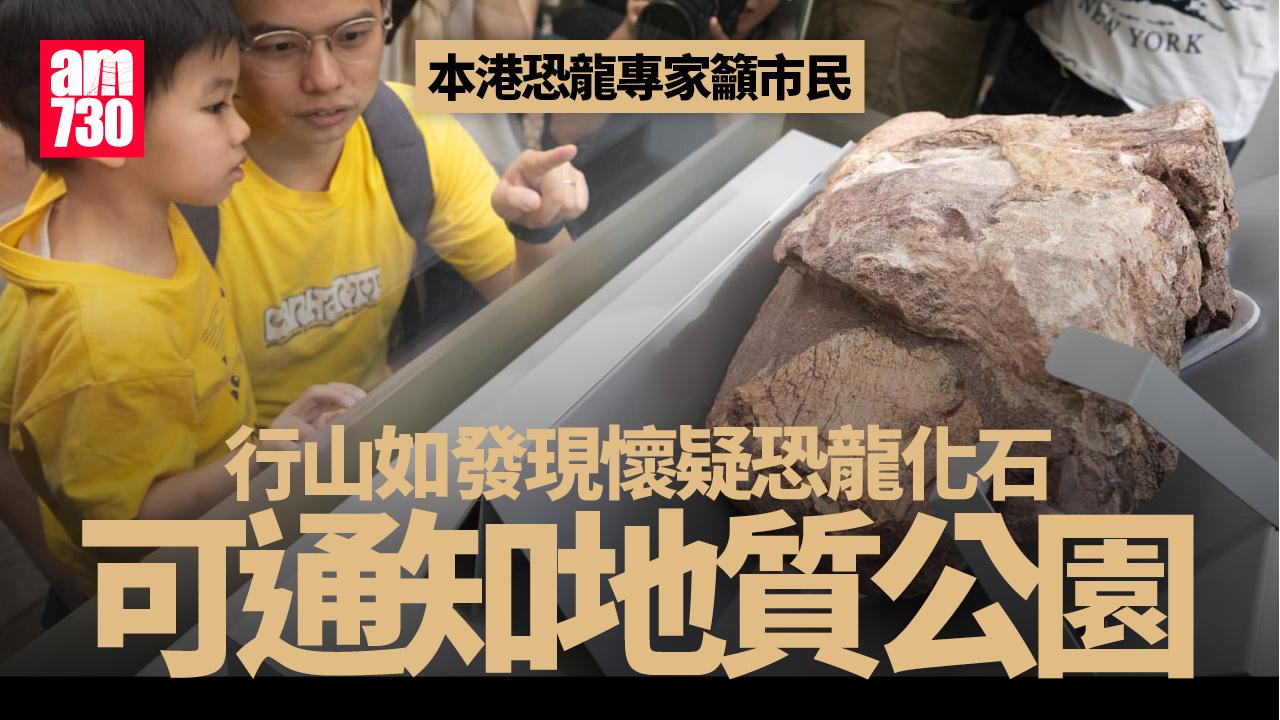 香港恐龍化石｜專家料在荔枝莊及八仙嶺有機會找到恐龍化石 (多圖)