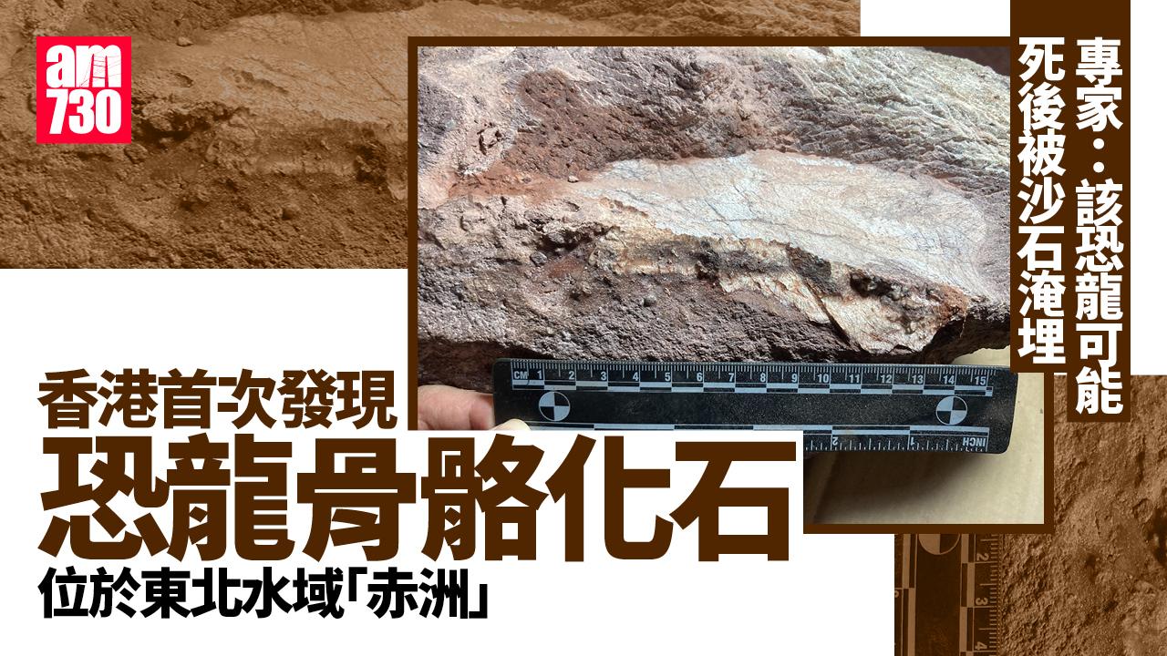 香港首次發現恐龍骨骼化石 有關展示空間預計年底對外開放