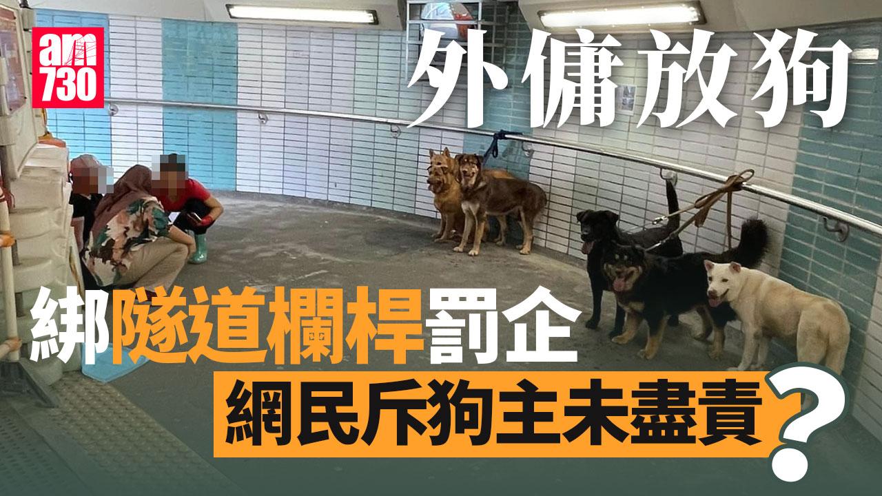 網上熱話｜6犬被外傭綁隧道欄桿罰企　網民斥「散步變焗桑拿」惹熱議