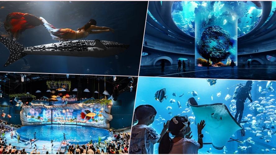 深圳小梅沙水族館海洋世界登場　必看全國最大圓柱魚缸+游水機甲鯊