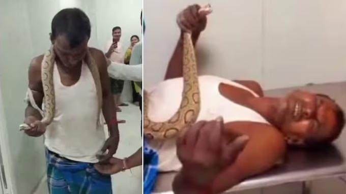 男子被咬後頸部掛著毒蛇跑進醫院求助，毒發即使快要昏倒仍緊緊捉住蛇口。(互聯網)