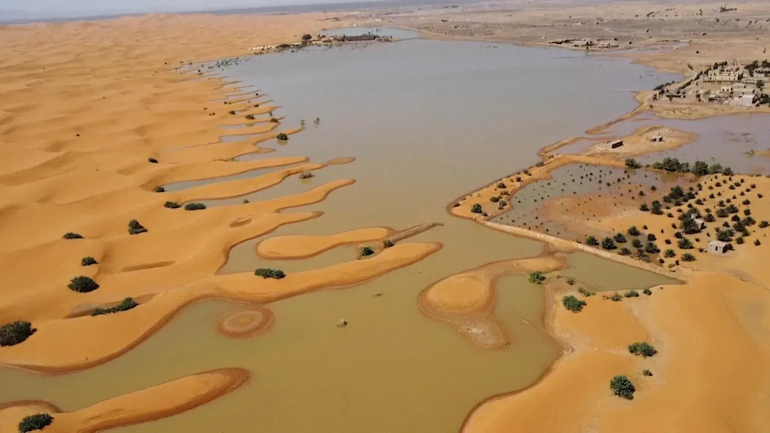 摩洛哥兩日內下了一整年雨量　撒哈拉沙漠積水現澤國