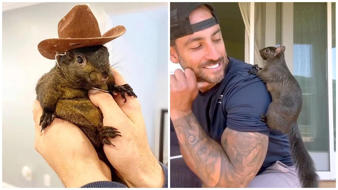 50萬網紅松鼠慘遭人道毀滅，飼主拍片控訴。馬斯克借勢撑特朗普。(X)