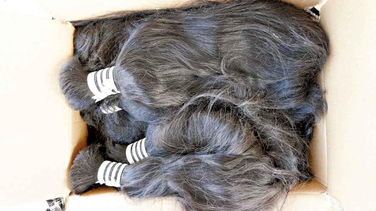 水警聯同海關大澳反走私  檢龍蝦及人類頭髮市值180萬