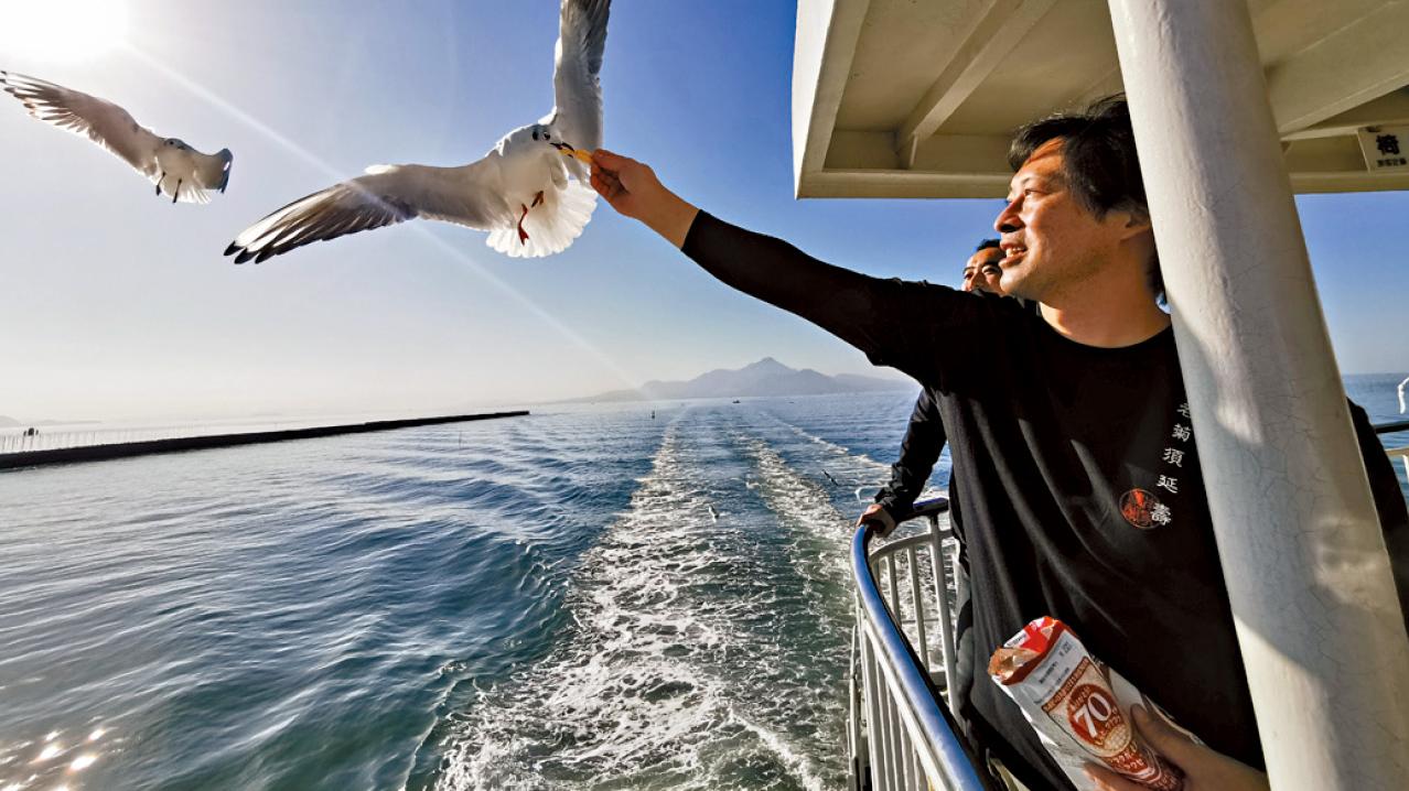 熊本到長崎汽車渡輪餵海鷗