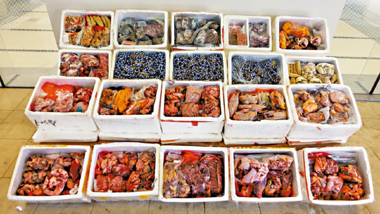 荃灣零售店涉買走私大閘蟹凍肉 海關拘貨車司機店舖負責人