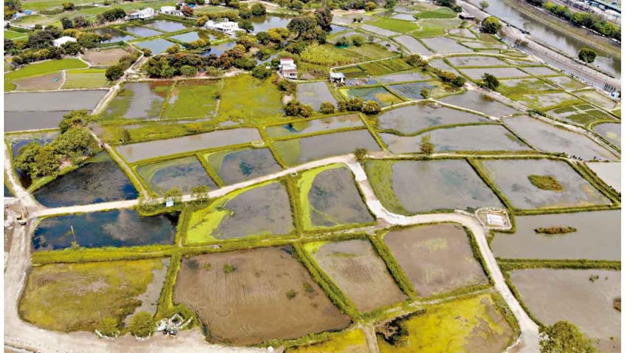 善用北都藍綠生態資源