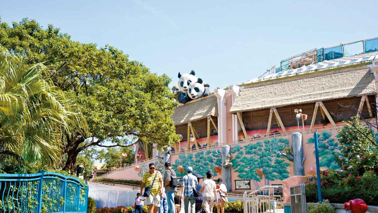 海洋公園去年蝕7160萬 入場人次創5年新高  龐建貽：力拓大熊貓經濟