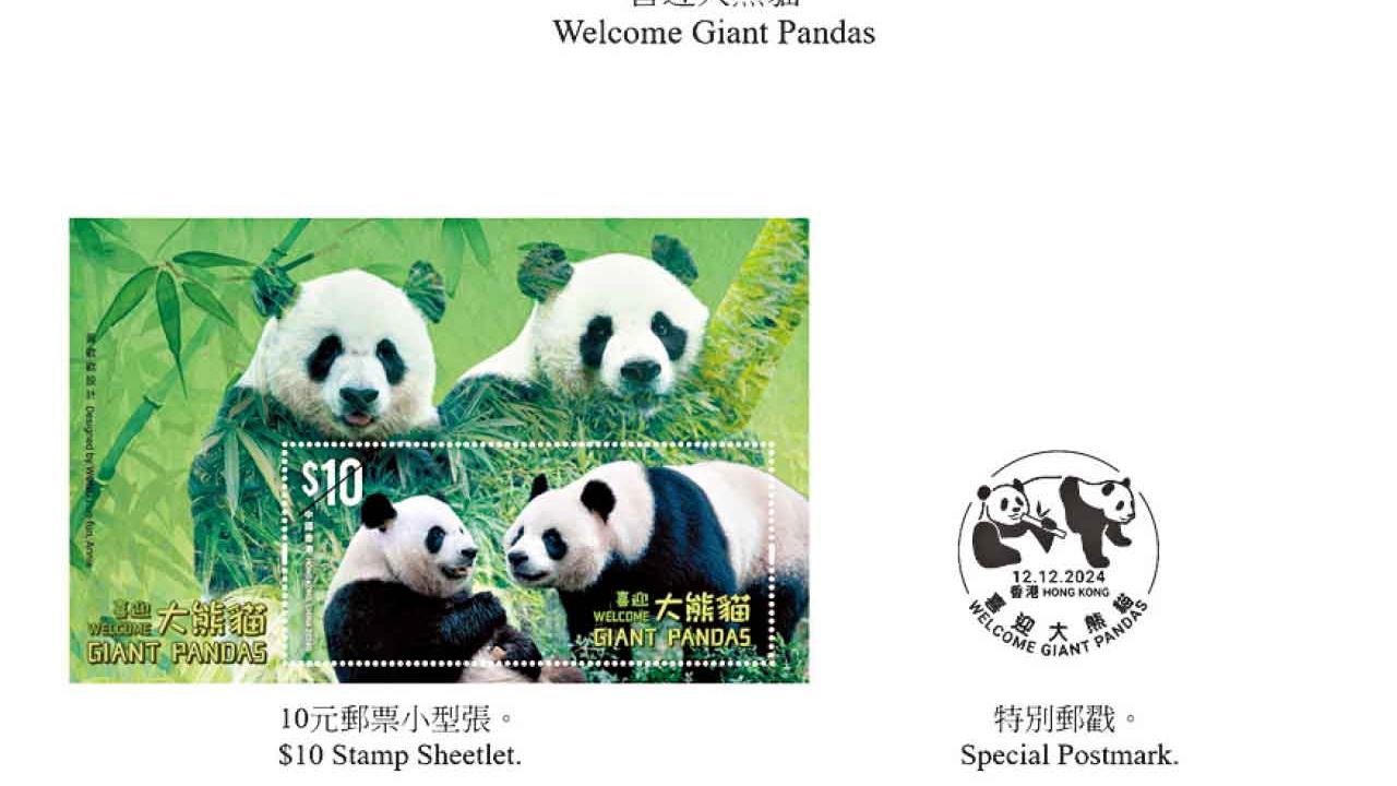 大熊貓安安可可將亮相 「喜迎大熊貓」郵票下月發售
