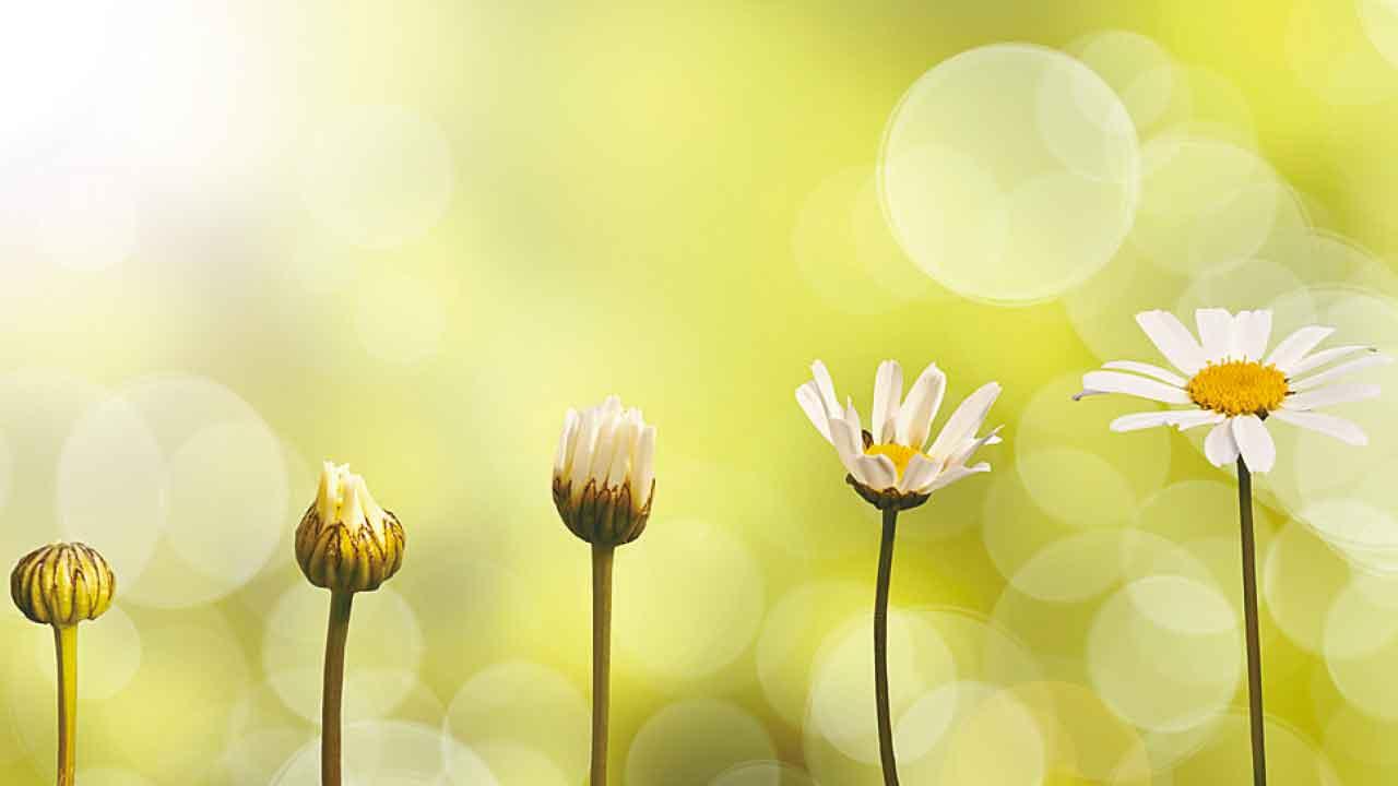 更年期為何是個謎？