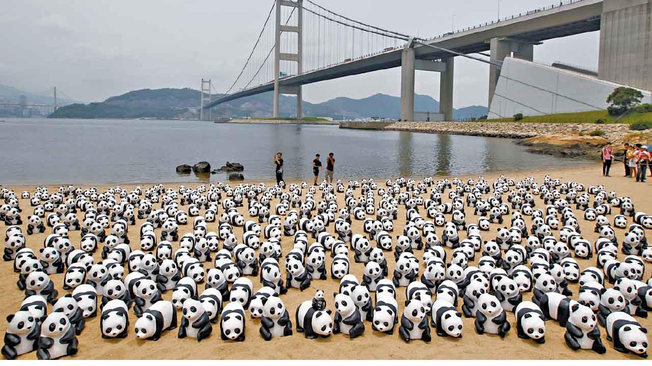 PANDA GO！香港遊  推香港大熊貓IP 2500隻熊貓雕塑12月四處走供打卡
