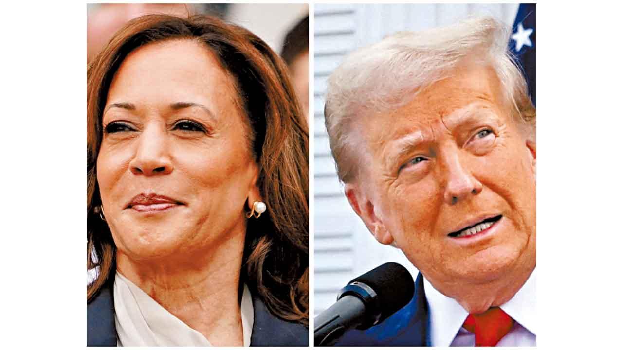 政治賭盤取締評論員