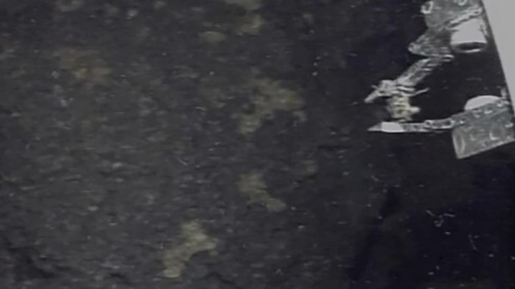 東京電力從福島第一核電廠取出燃料棒碎片。(美聯社)