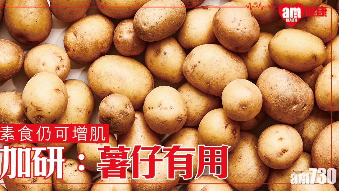 薯仔可以增肌？原因係植物性蛋白質（am730製圖）
