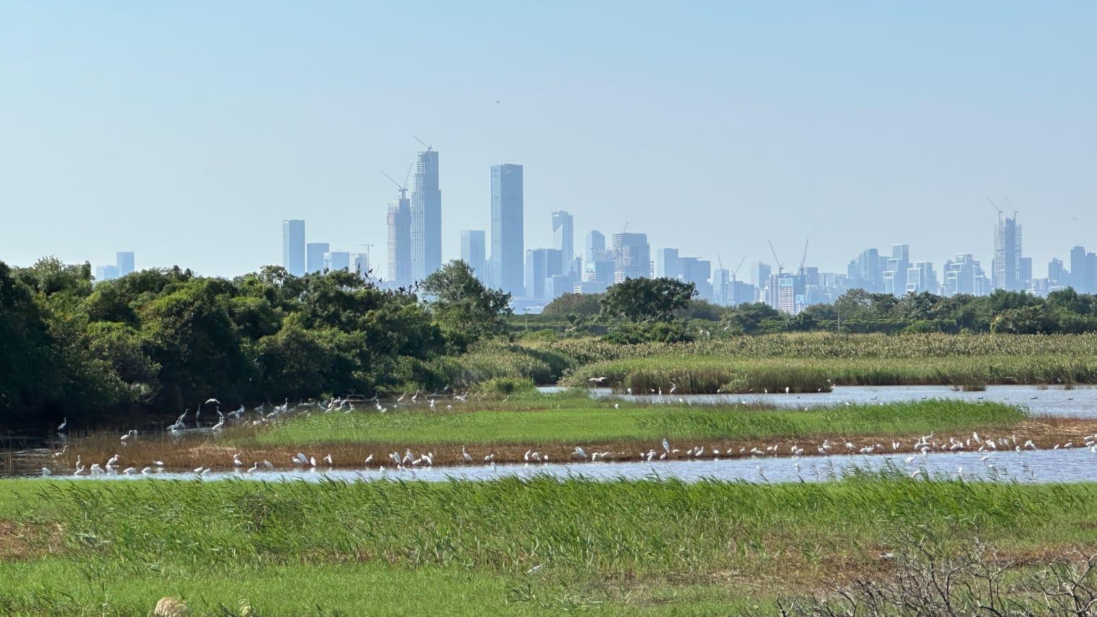 關注完善「大學城」發展規劃細節