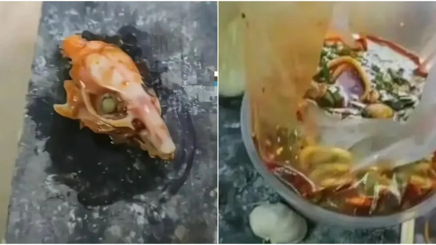 甘肅天牛肉麵食到疑似老鼠頭 店家否認後當局徹查出真相