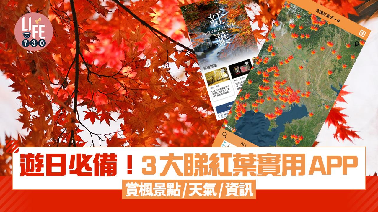 日本紅葉｜秋季遊日必備！3大睇紅葉實用APP 賞楓景點/天氣/資訊 