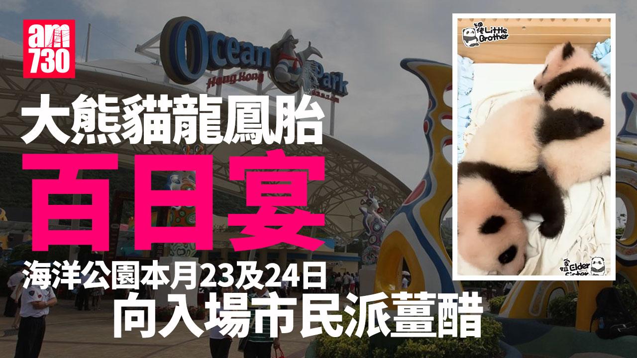 大熊貓｜百厭細佬「鉸剪腳」贈家姐 海洋公園百日宴派薑醋