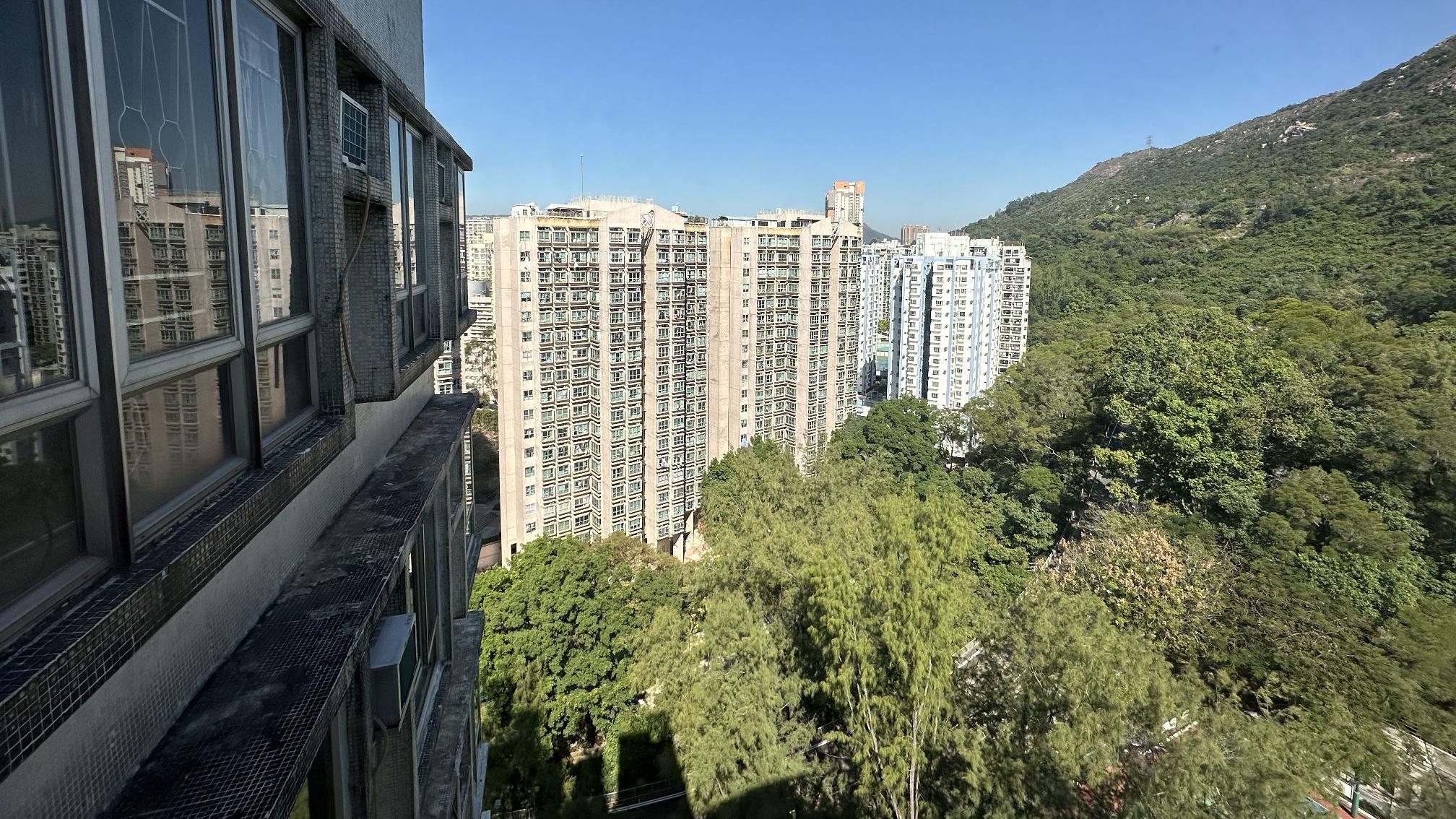 單位望超開揚翠綠山巒景色。